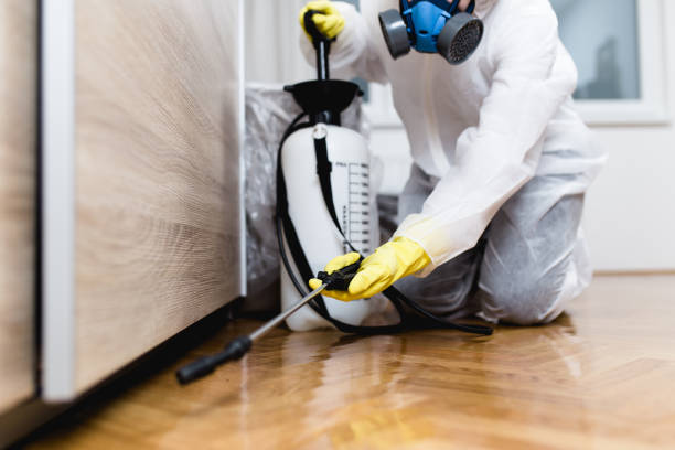 Best Pest Control Near Me  in Dalton, GA
