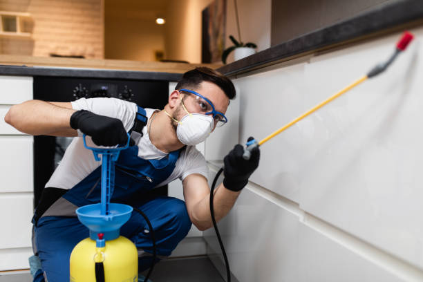 Reliable Dalton, GA Pest Control Solutions