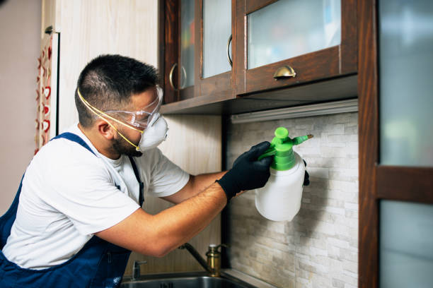 Best Pest Control Cost  in Dalton, GA
