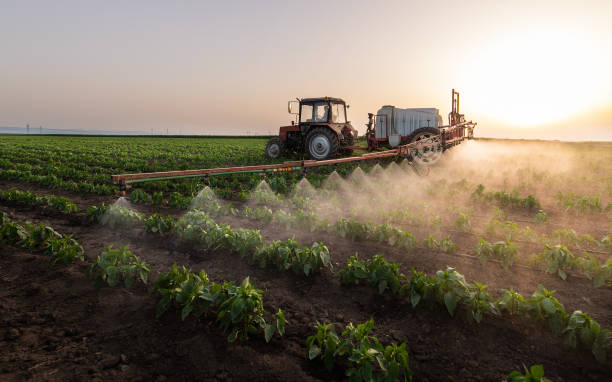 Best Mosquito Control Services  in Dalton, GA