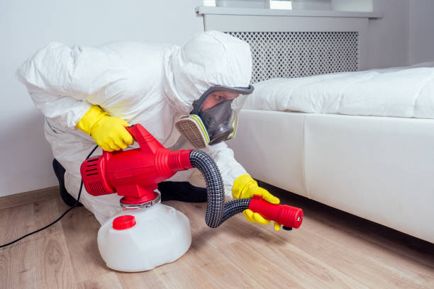 Best Termite Control Services  in Dalton, GA