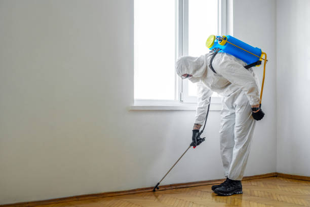 Best Rat Extermination Near Me  in Dalton, GA