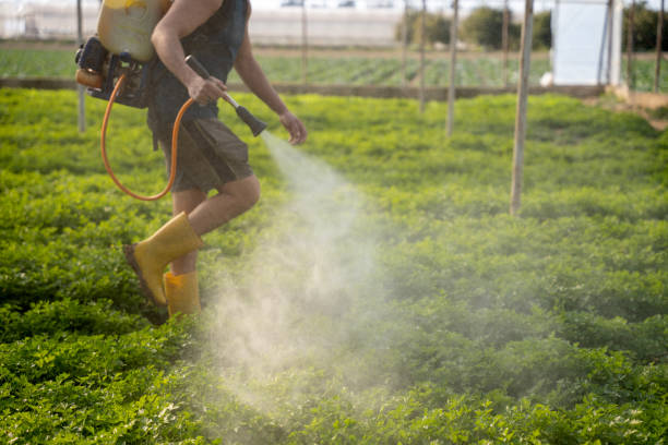 Best Commercial Pest Control Services  in Dalton, GA