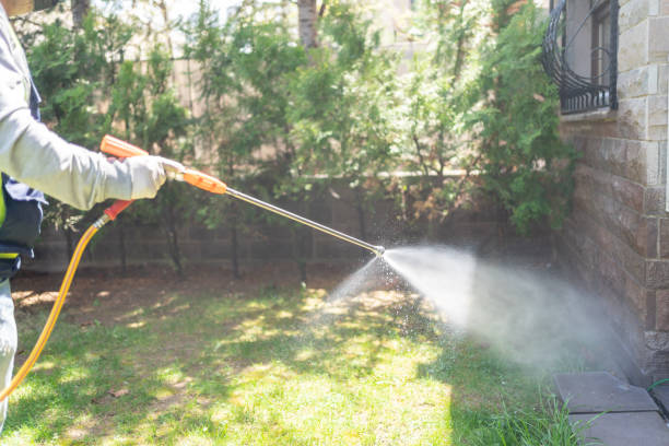Wasp Removal Services in Dalton, GA