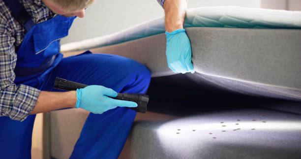 Best Pest Inspection Near Me  in Dalton, GA