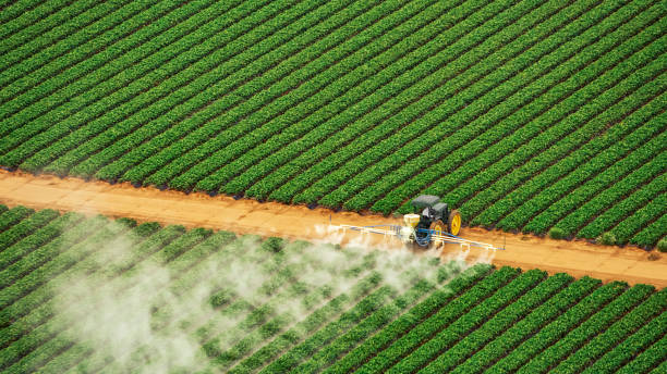 Best Pest Prevention Services  in Dalton, GA