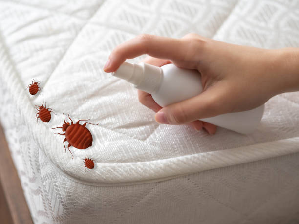 Pest Control for Restaurants in Dalton, GA