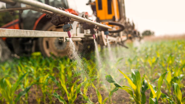 Pest Control Cost in Dalton, GA